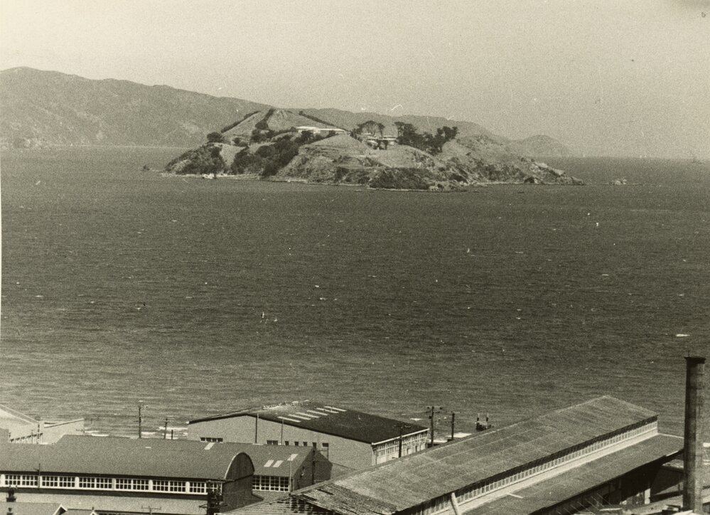 View of Matiu/Somes Island
