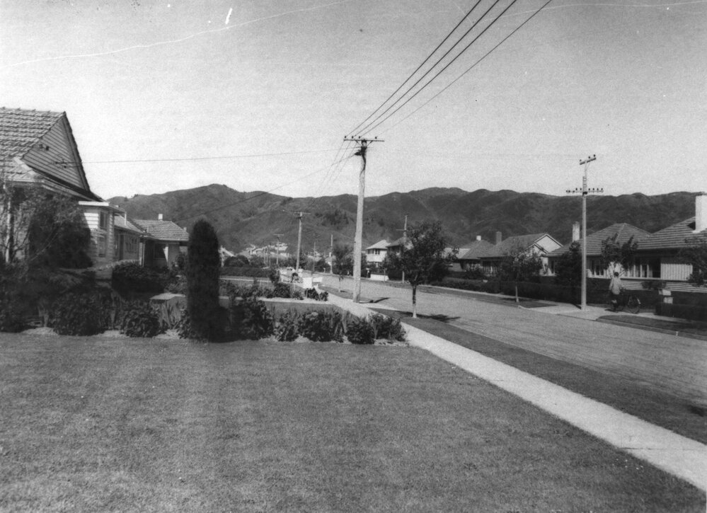 State housing in Lower Hutt