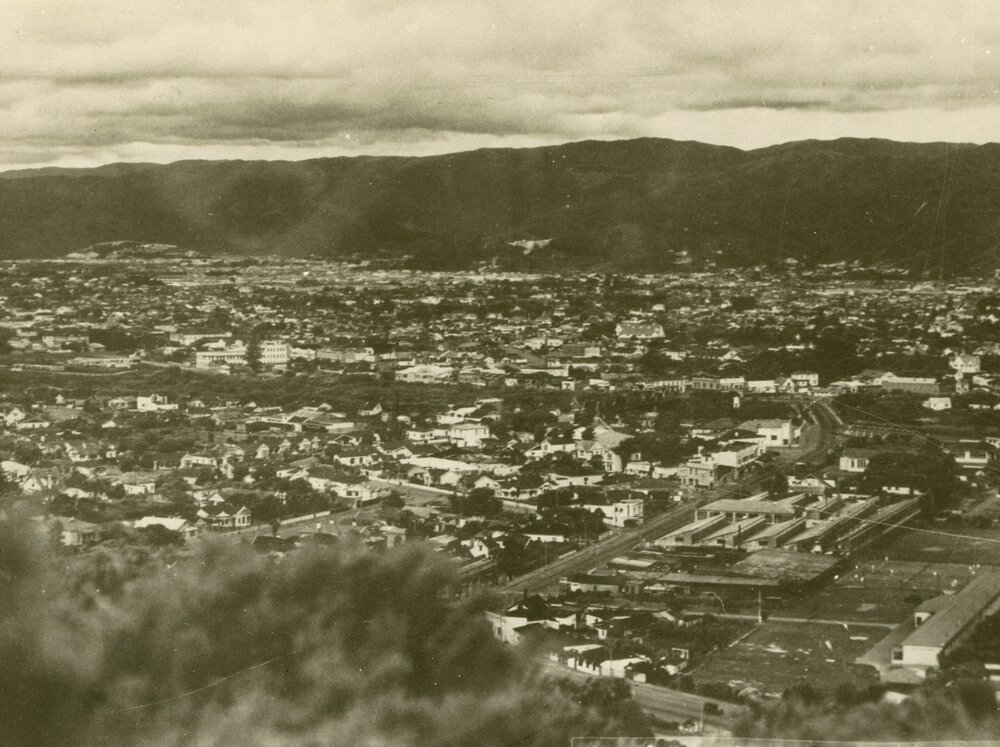 Lower Hutt from Normandale
