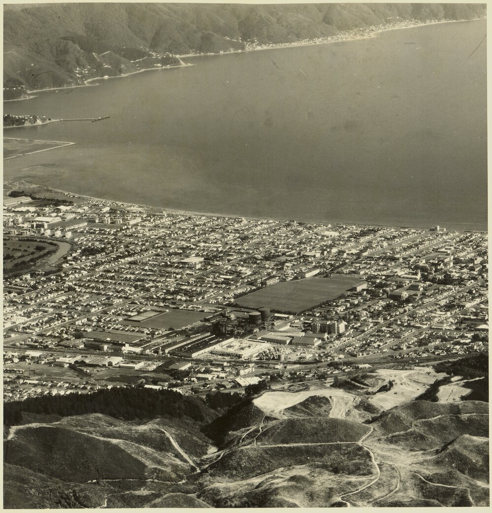 Petone with Maungaraki subdivision in foreground
