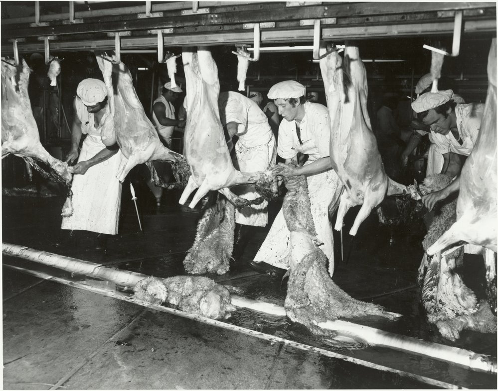 Gear Co. butchers working on the mutton chain
