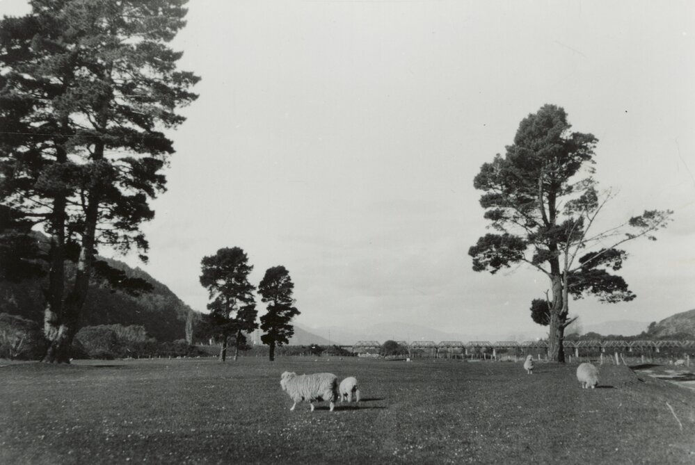 Manor Park Golf Course and Haywards Railway Bridge