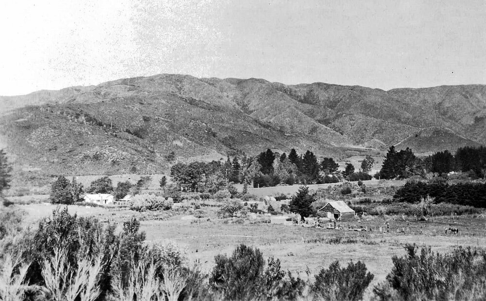 Speldhurst Farm in central Stokes Valley