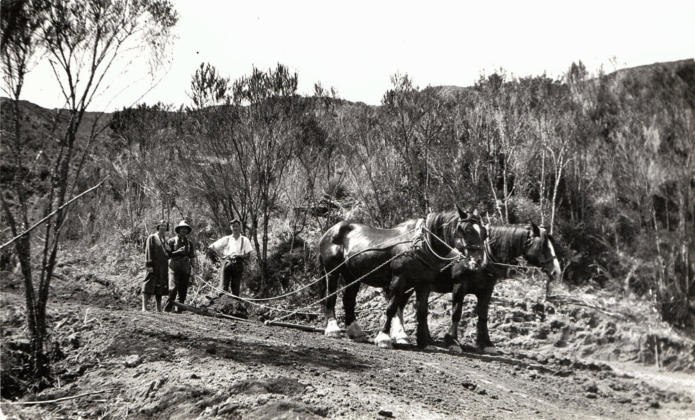 Road Construction in Stokes Valley