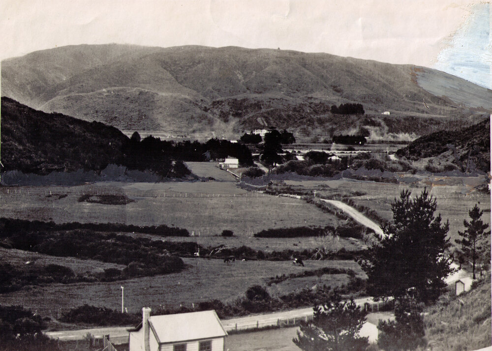 Stokes Valley entrance looking west from above Stokes Valley Road
