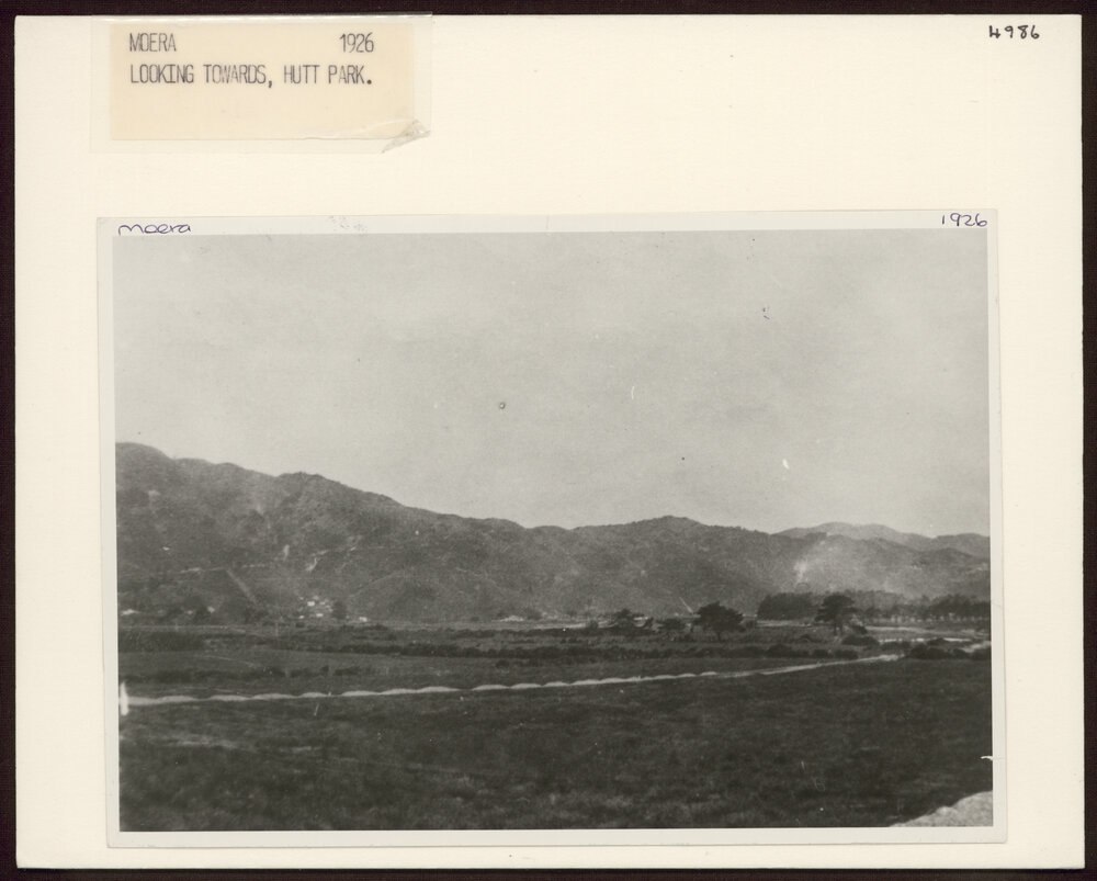 Moera looking towards Hutt Park