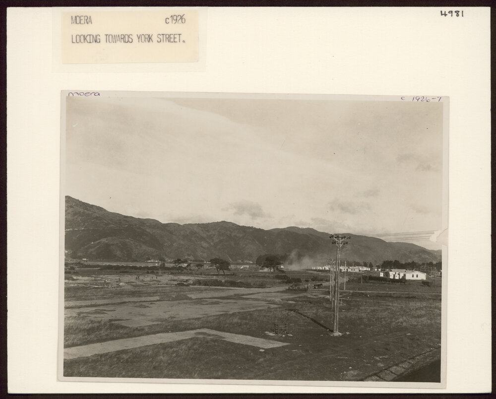 Moera looking towards York Street