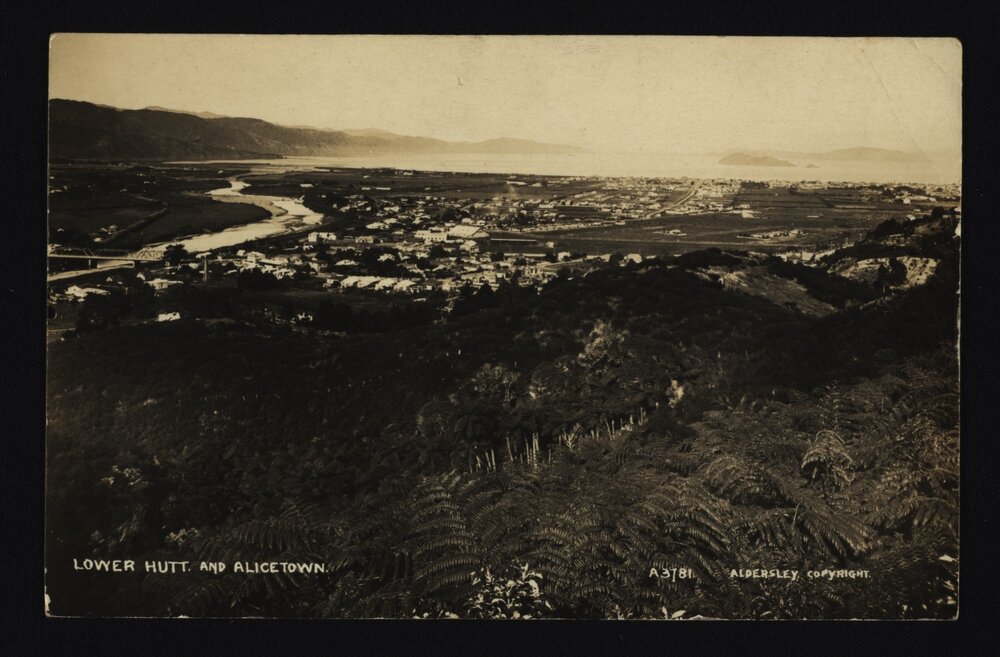 Postcards of Petone from the Collections of the Petone Settlers Museum 3