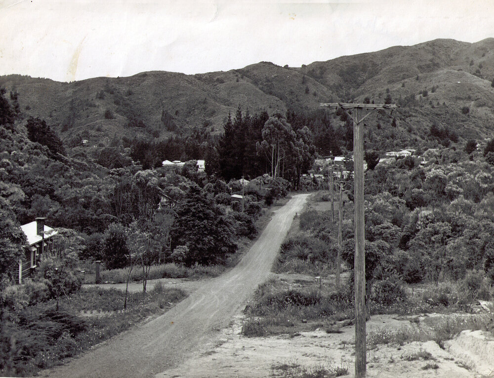 Raukawa Street, Stokes Valley
