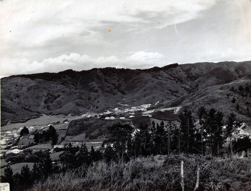 Stokes Valley looking towards Tui Glen from western hills