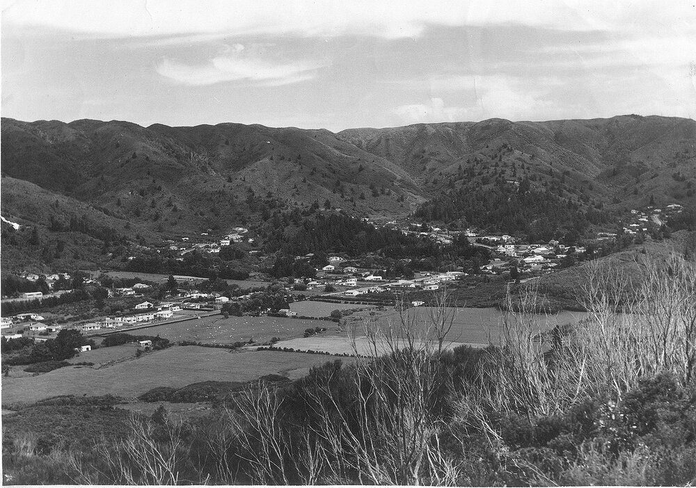 Stokes Valley viewed from western hills
