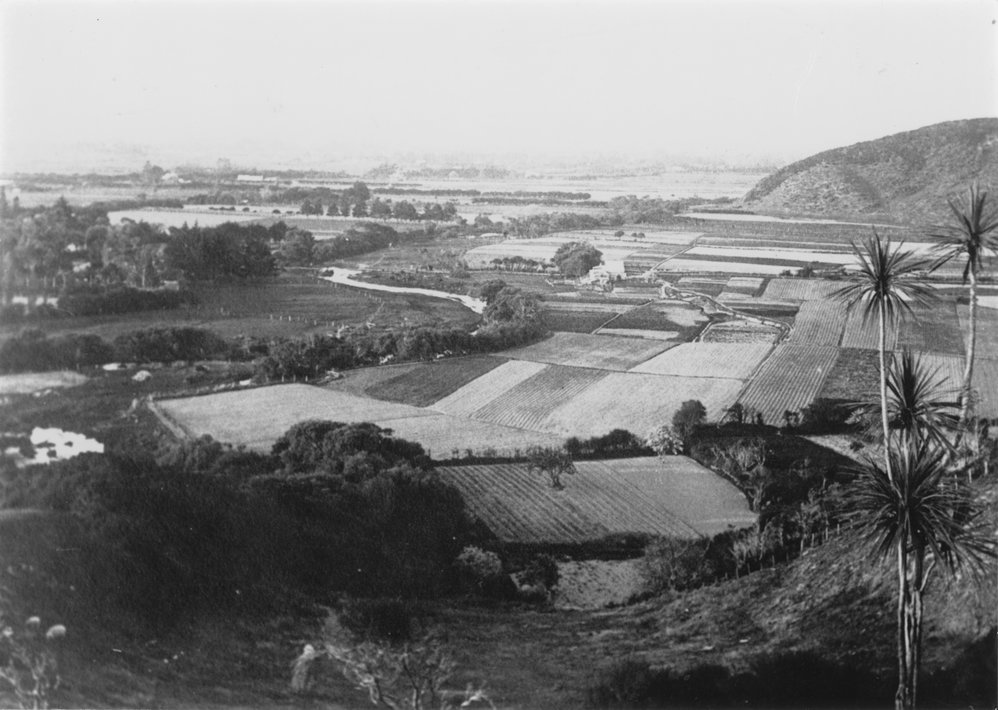 Waiwhetu Chinese gardens