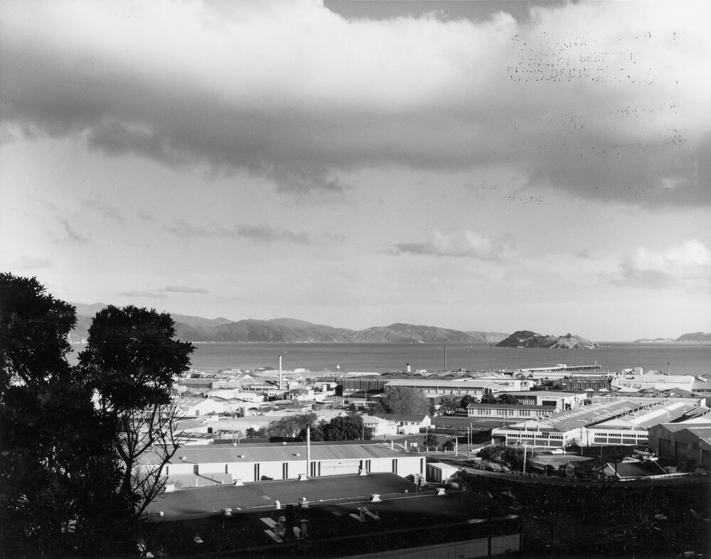 Petone from Korokoro