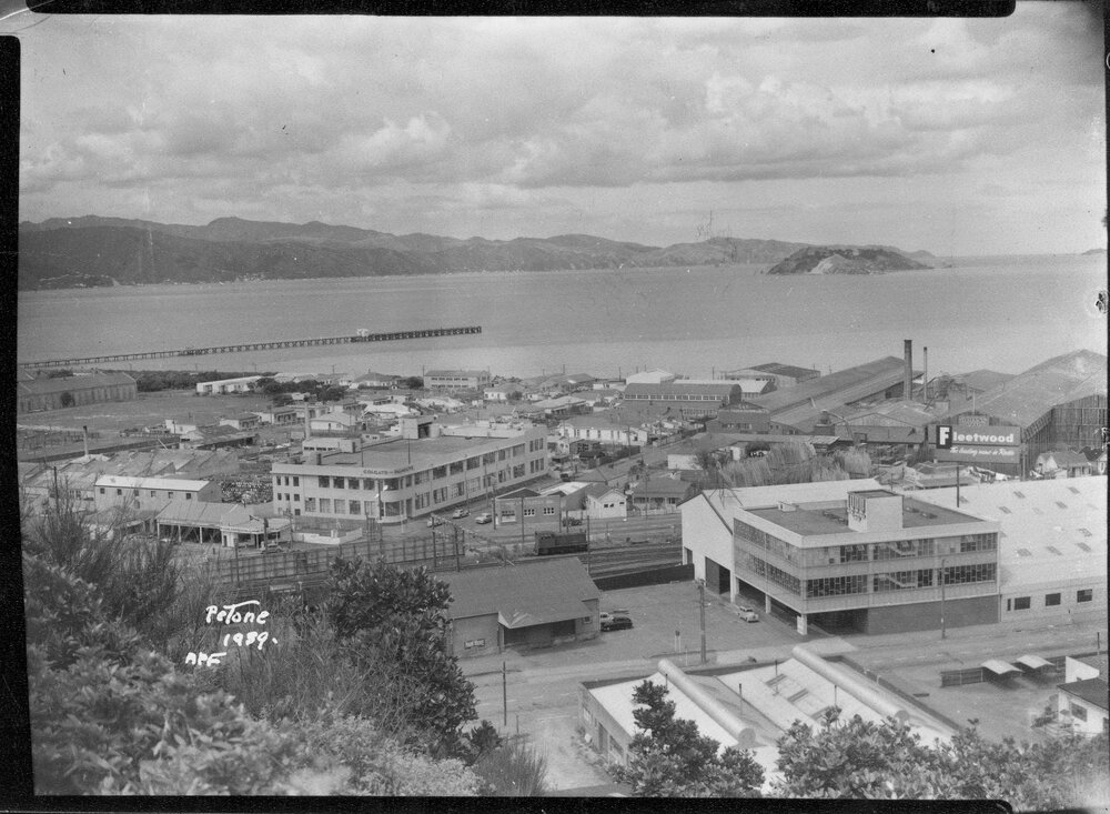 Petone from Korokoro