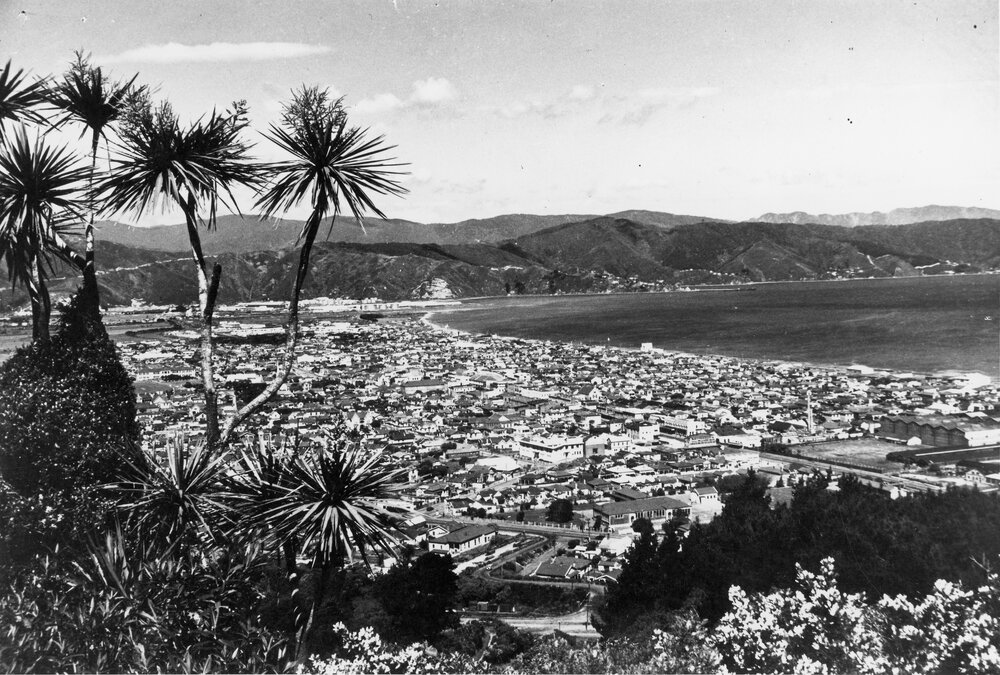 Petone from Korokoro
