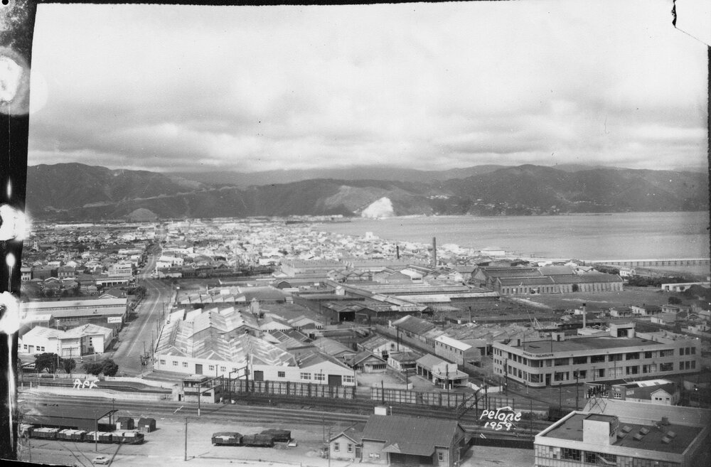 Petone from west