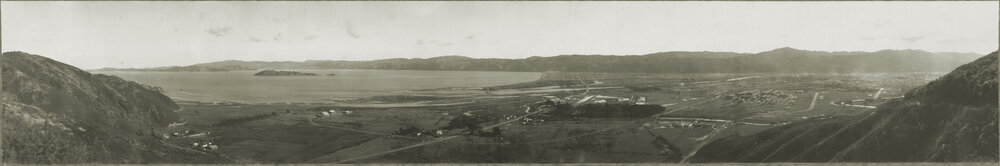 Petone Panorama