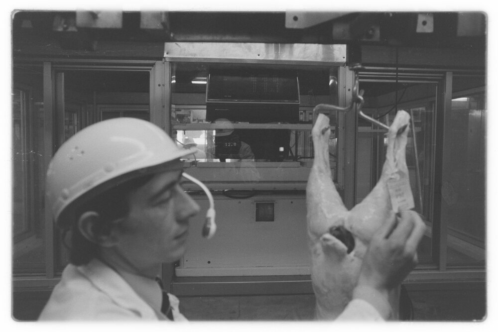 Computer a first for meat industry