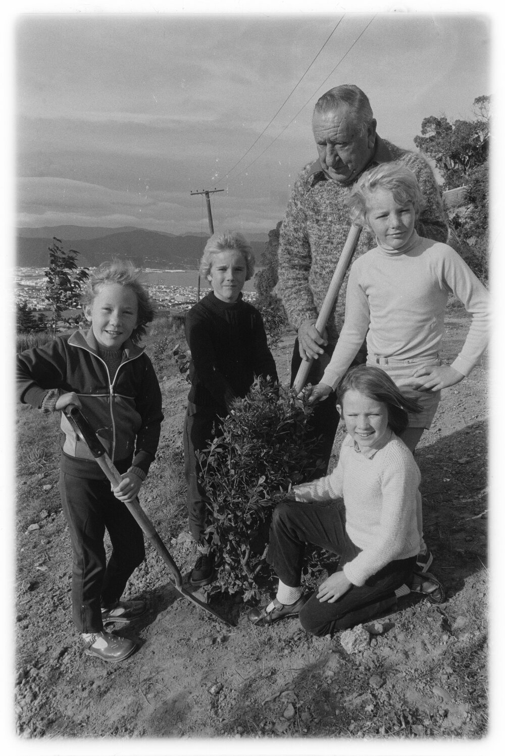 Planting in his park 