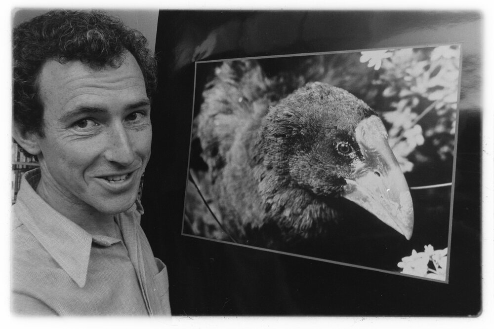 Colourful bird photos showing in Petone 