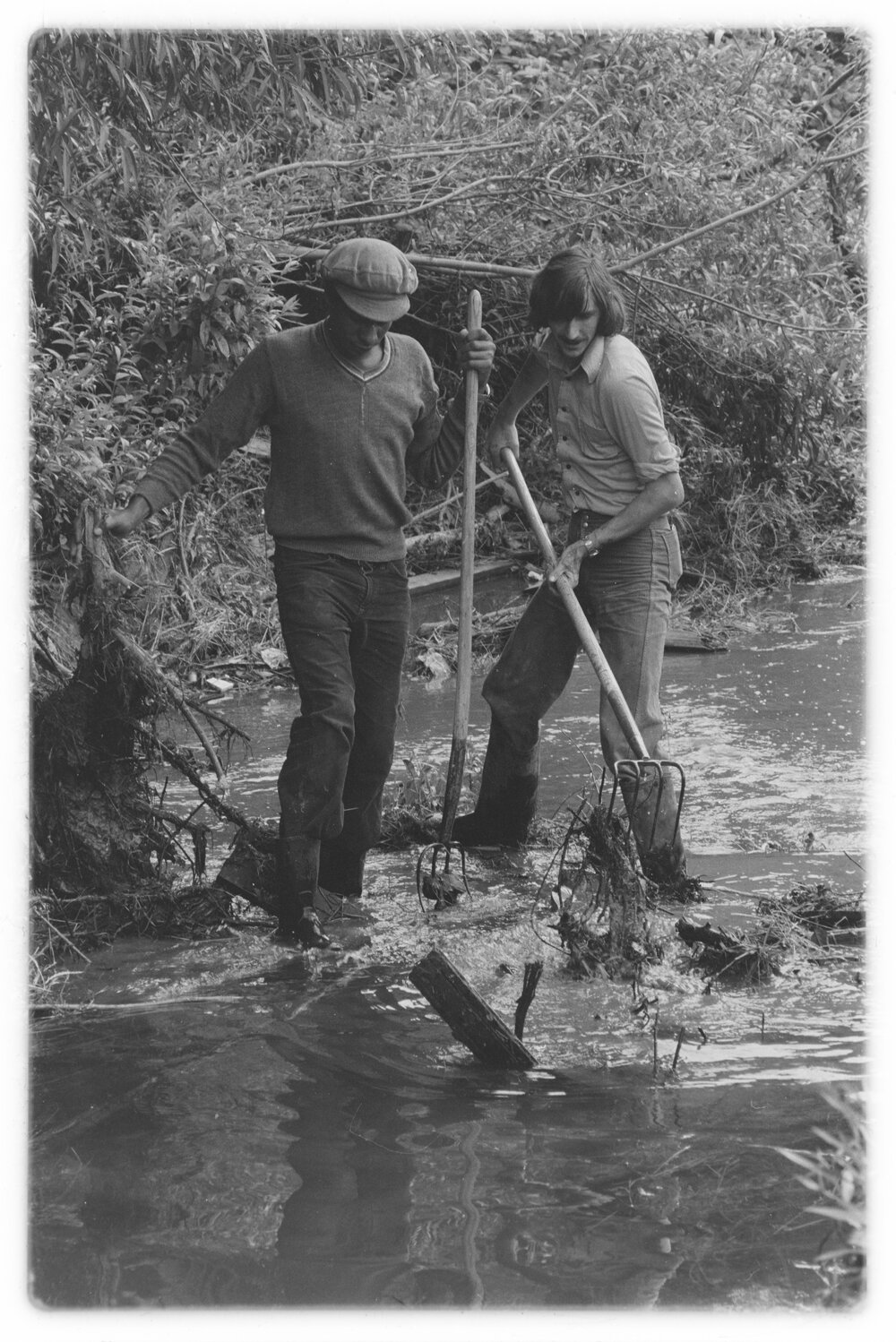 Clean-up for scruffy part of Waiwhetu  