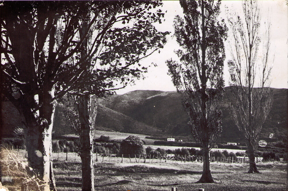Kamahi Street, Stokes Valley circa 1920