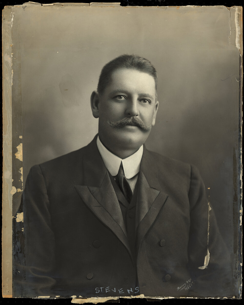 Stevens