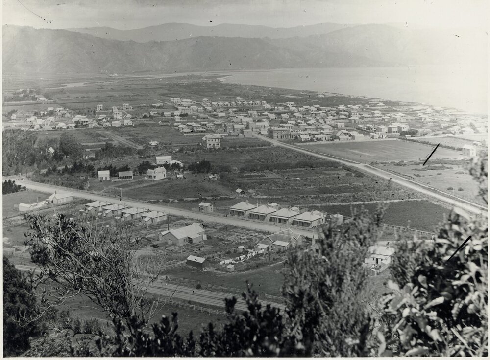 Alicetown/Petone