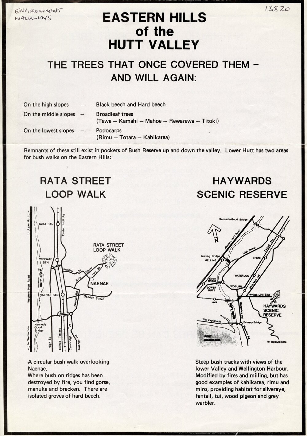 Eastern Hills of the Hutt valley