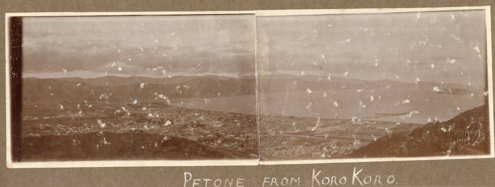 Petone From Korokoro