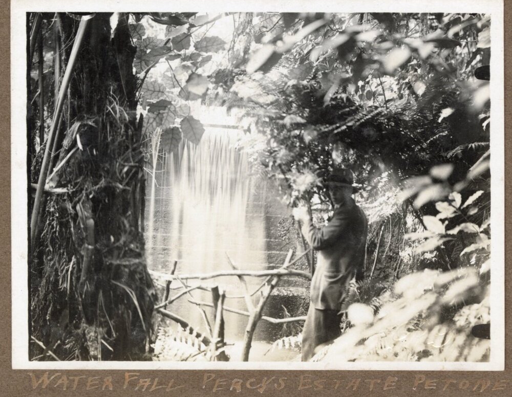 Waterfall, Percy's Estate, Petone