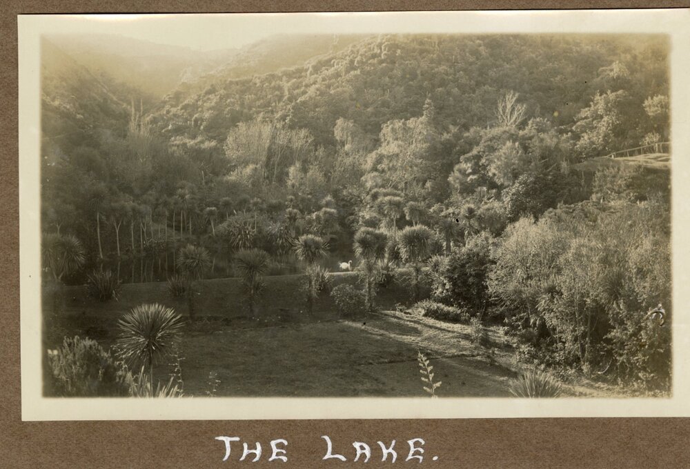 Percy's Estate, Petone