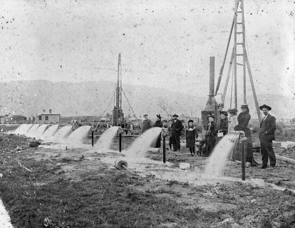 Wellington Meat Company Wells