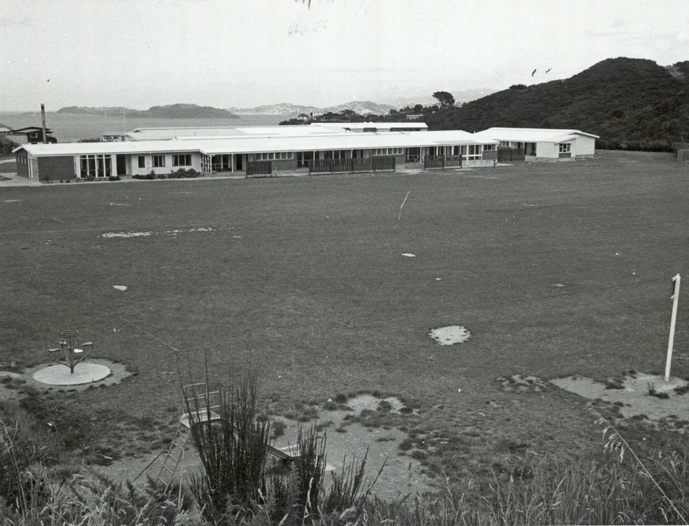 Puketiro School