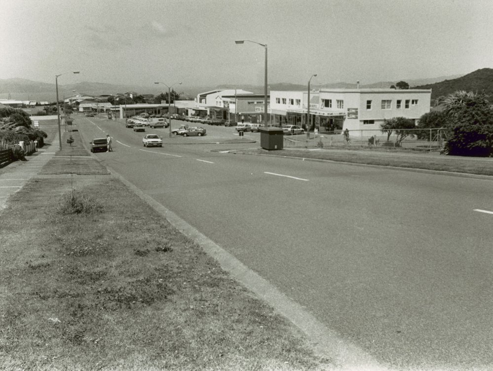 Shops in Dowse Drive