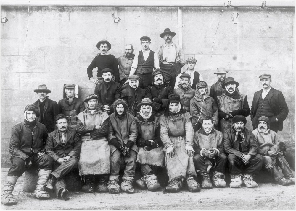 Gear Co. freezers