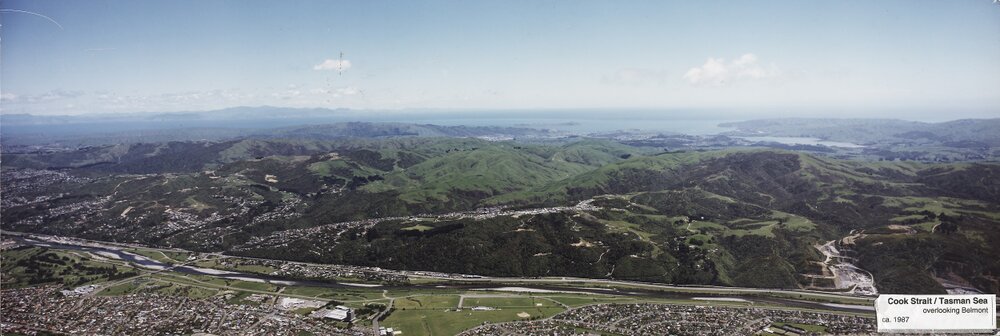 Cook Strait/Tasman Sea overlooking Belmont