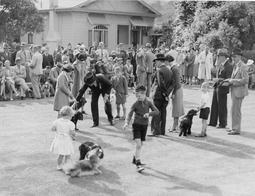 Hutt Valley Kennel Club ribbon parade
