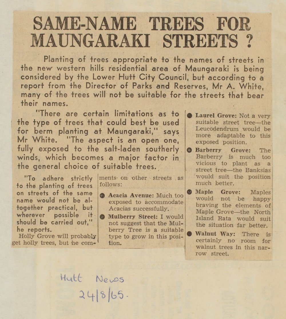 Same-name trees for Maungaraki streets?