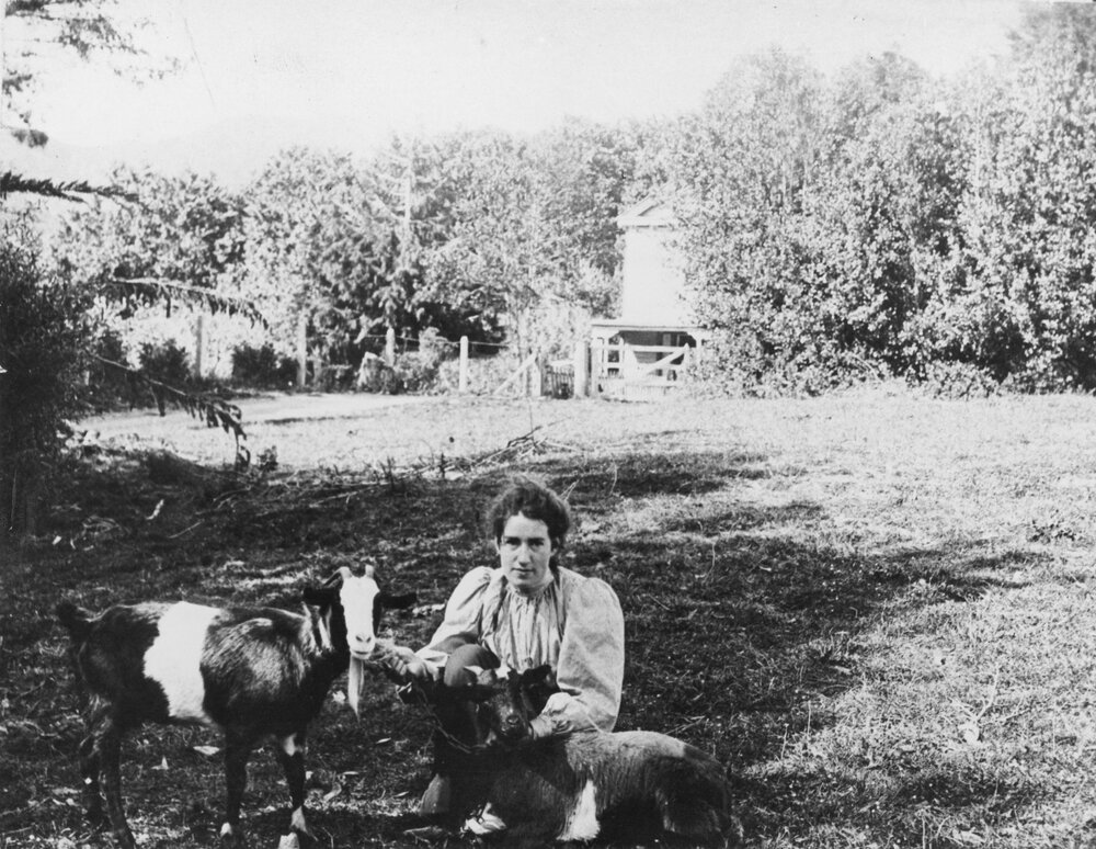 Mason's Farm