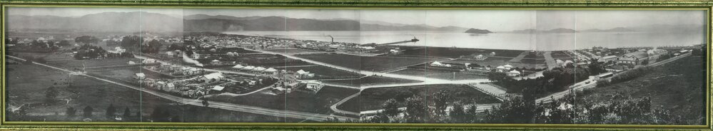 WML-00002-Petone-Pana