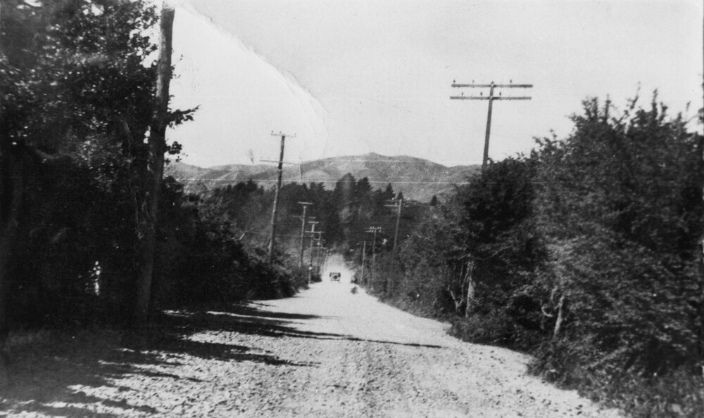 Naenae Lane (Brees Street)