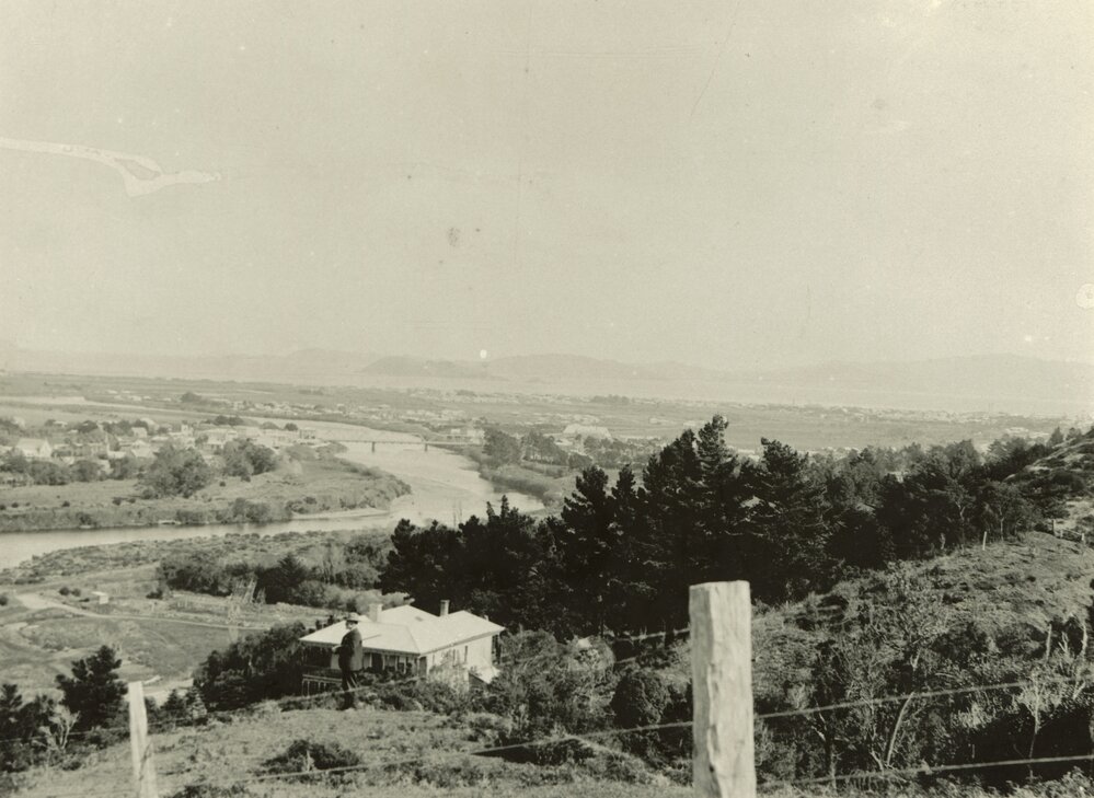 Lower Hutt Panorama (d)