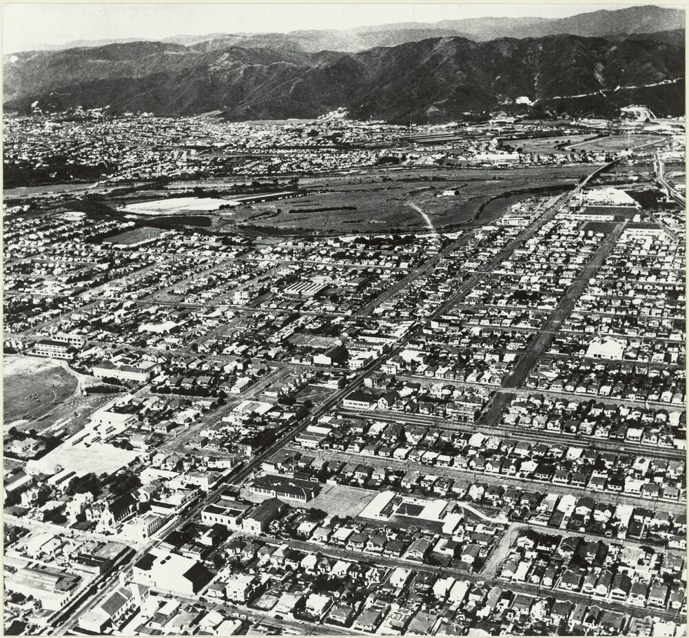 Petone : [aerial view]