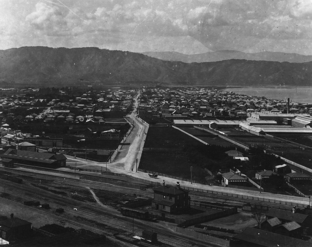 Petone from the Western Hills