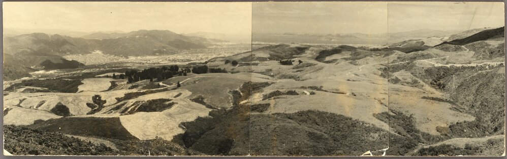 Hutt Valley Panorama