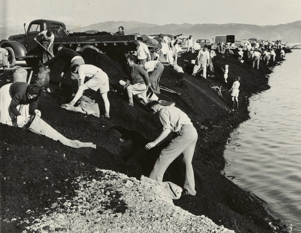 Seaview / Gracefield reclamation