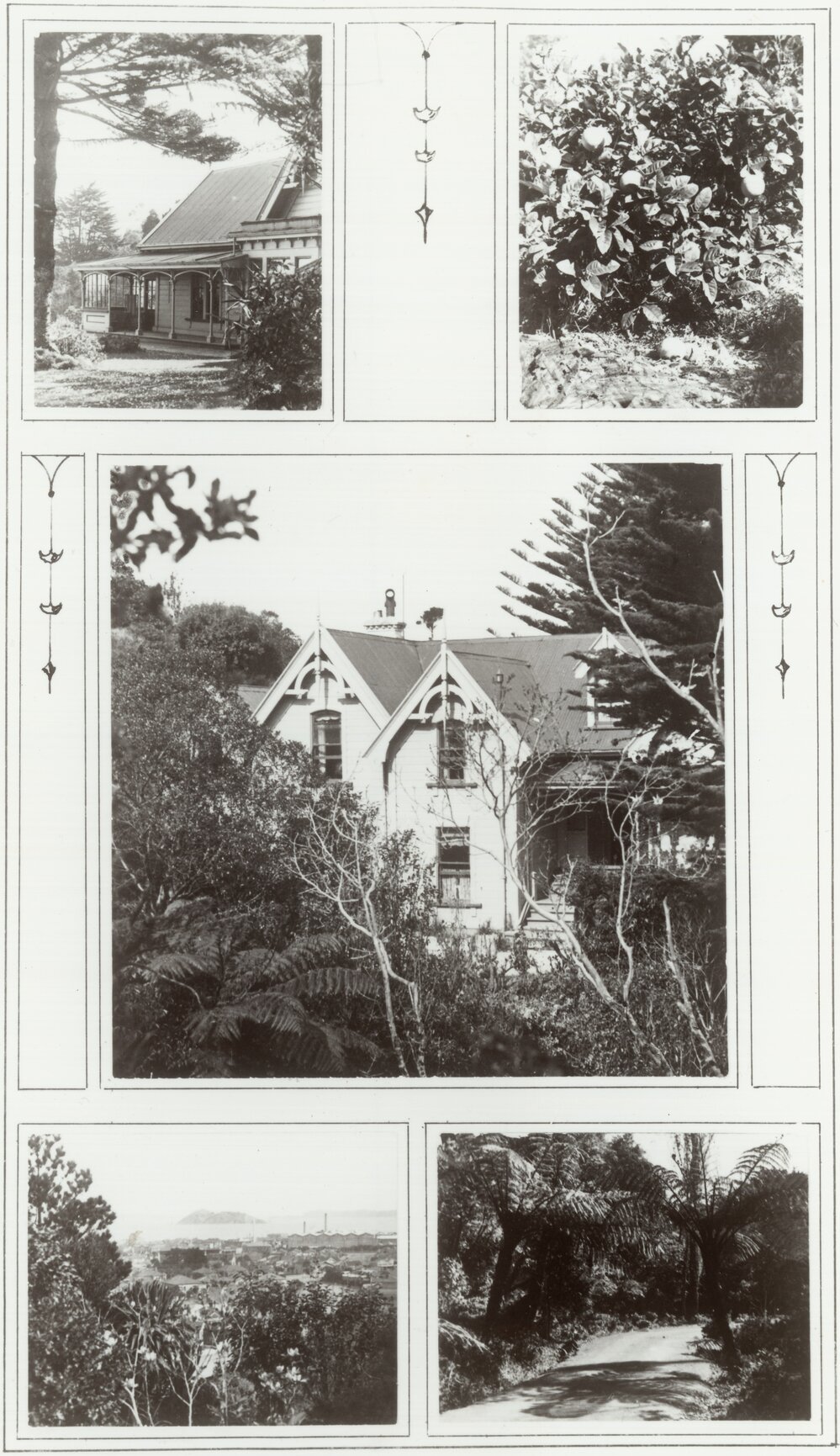 Hector house: Western Hutt Road