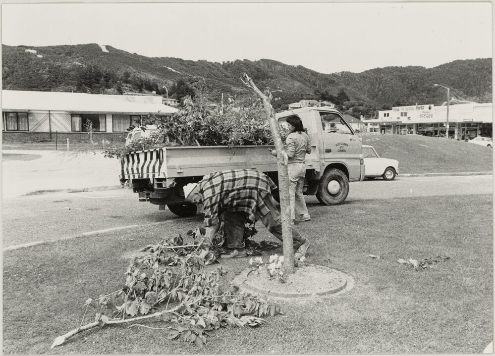 Vandalism in Wainuiomata