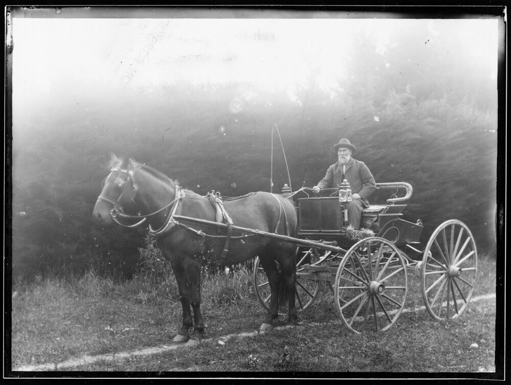 Horse and buggy 